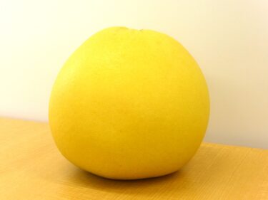 世界最大の柑橘類「晩白柚」で作った、熊本県産・地ポン酢の極み！　晩白柚ぽん酢300ml