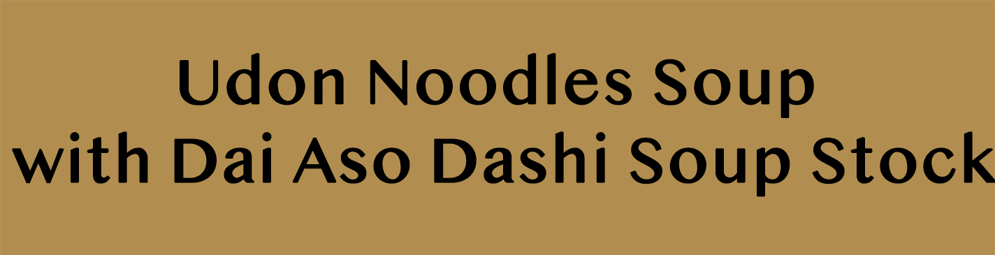 Udon Noodles Soup