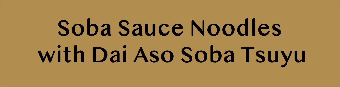 Soba Sauce Noodles